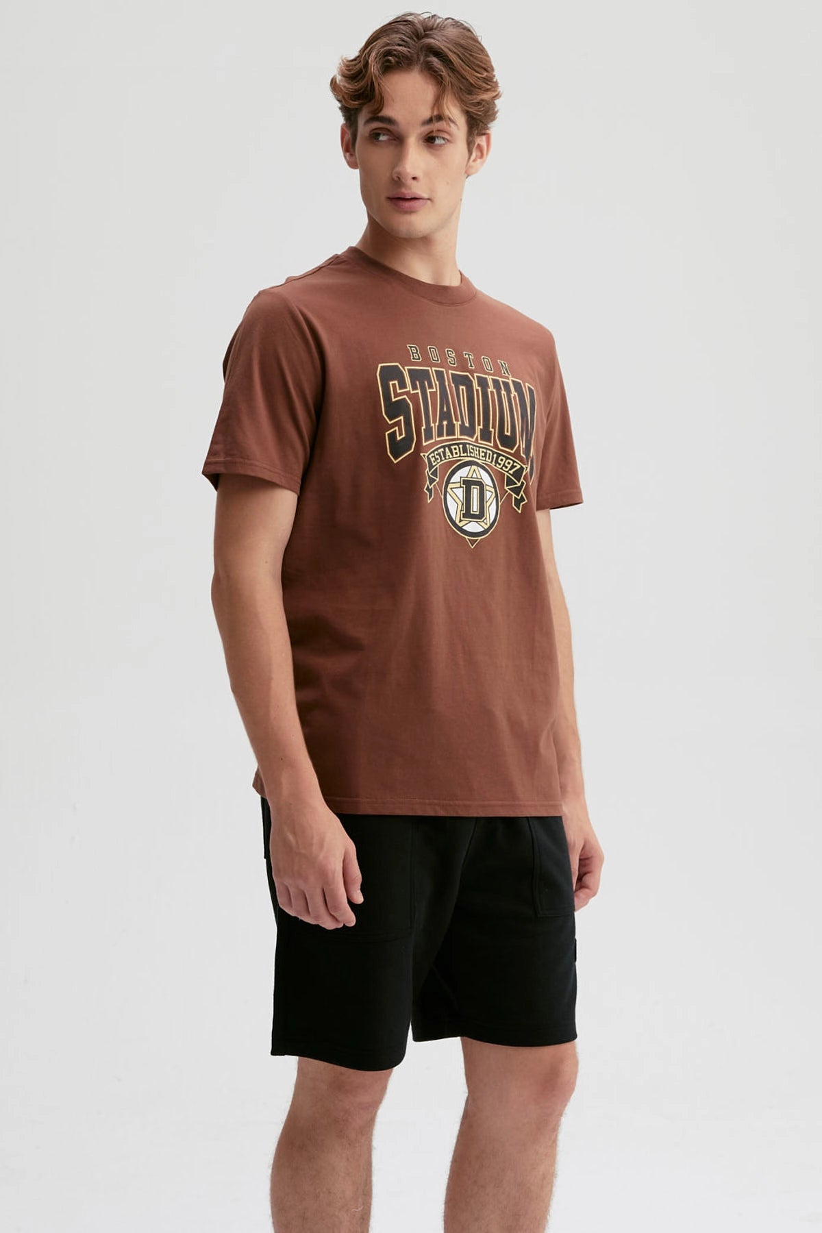 Polera Hombre Print Posicional Chocolate