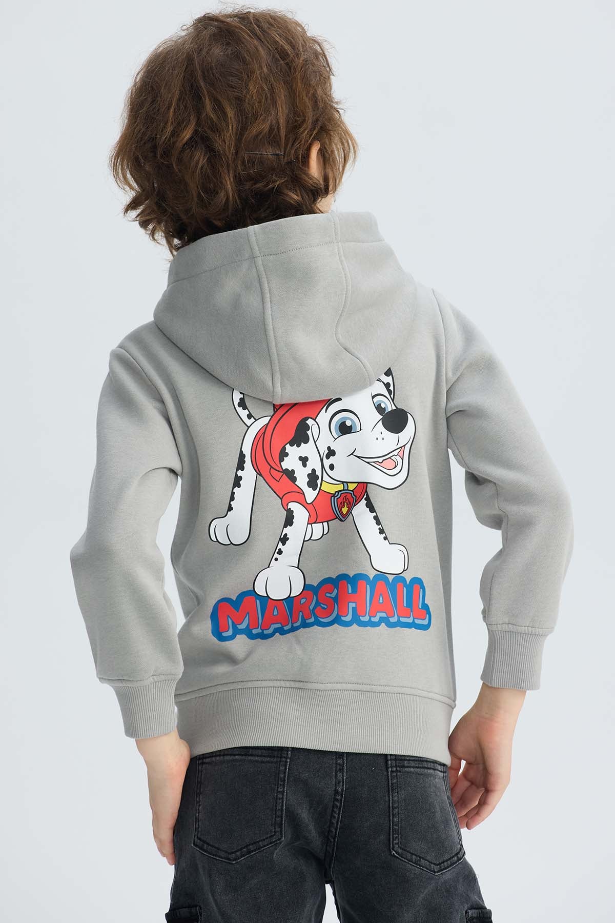 Polerón Niño Paw Patrol Gris
