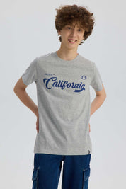 Polera Niño Básica Estampada Gris Melange