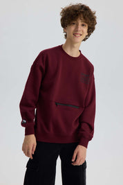 Polerón Niño Cerrado Con Cierre Burdeo