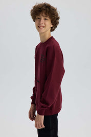 Polerón Niño Cerrado Con Cierre Burdeo