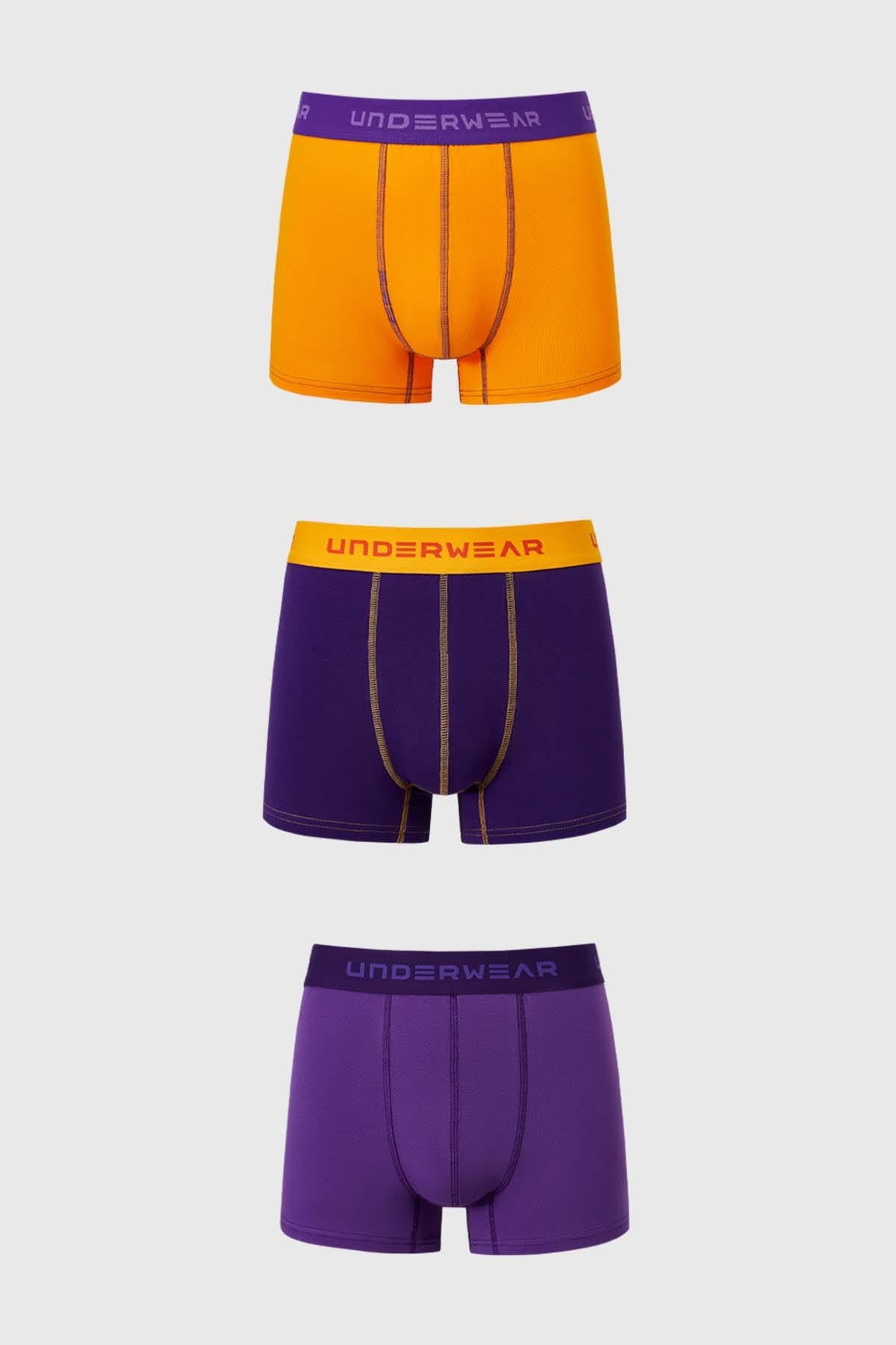 Boxer Hombre Tripack Violeta