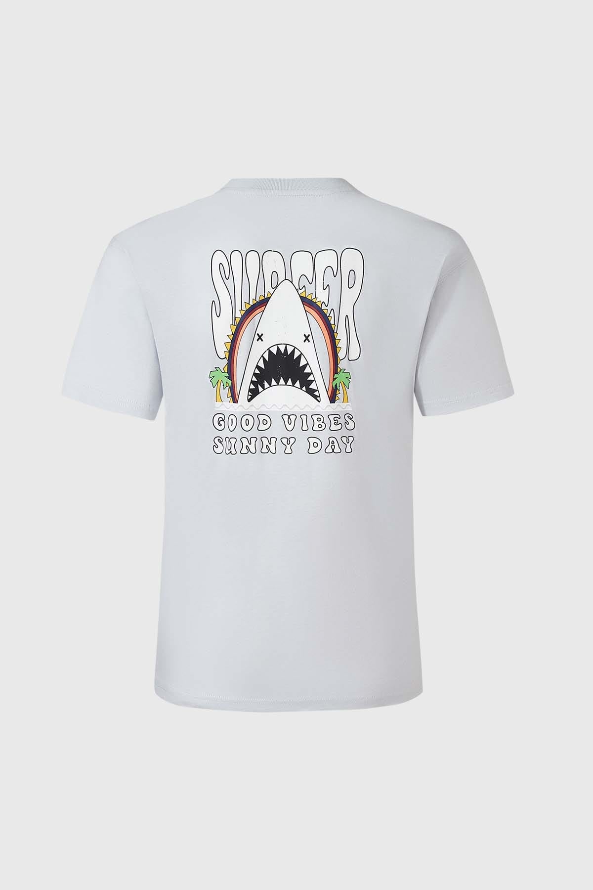 Polera Niño Estampado Gris