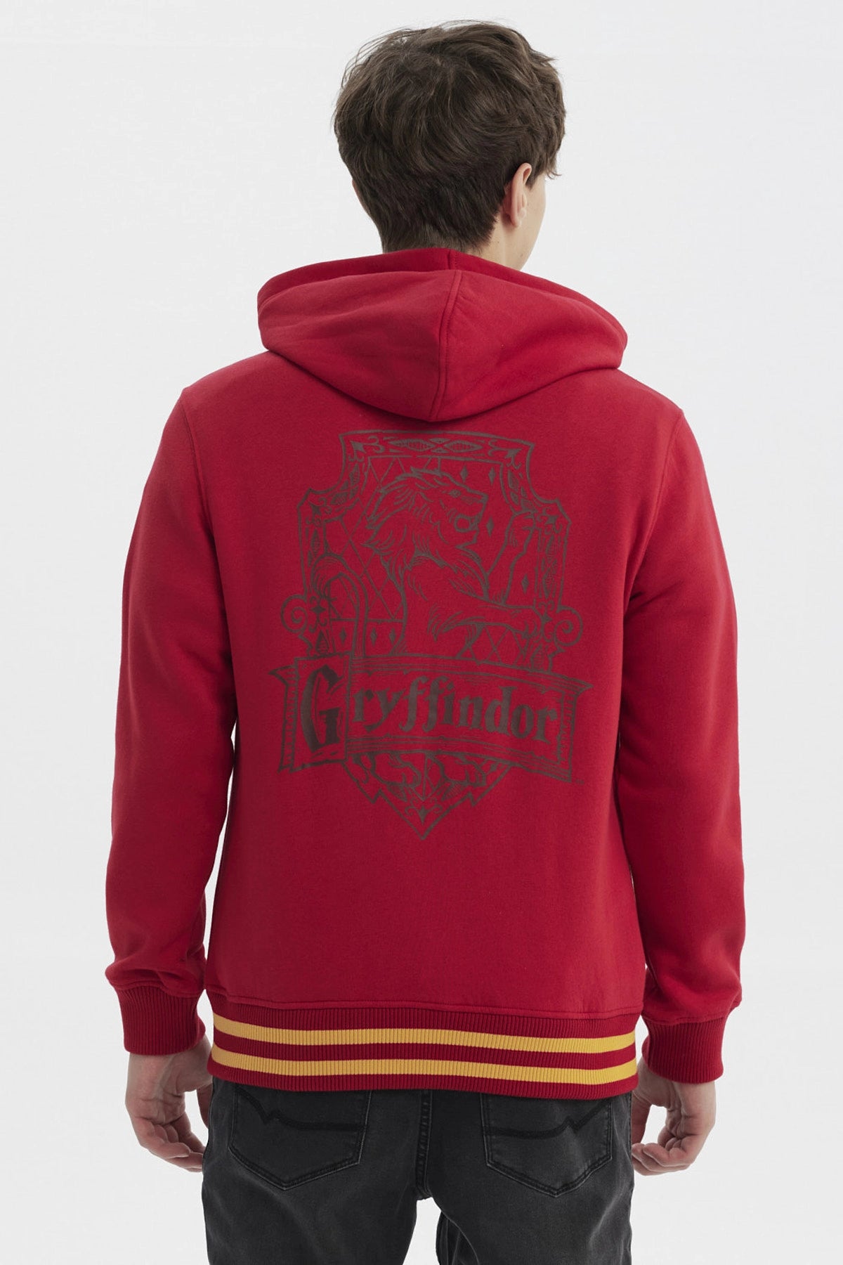 Polerón Hombre Gryffindor Rojo