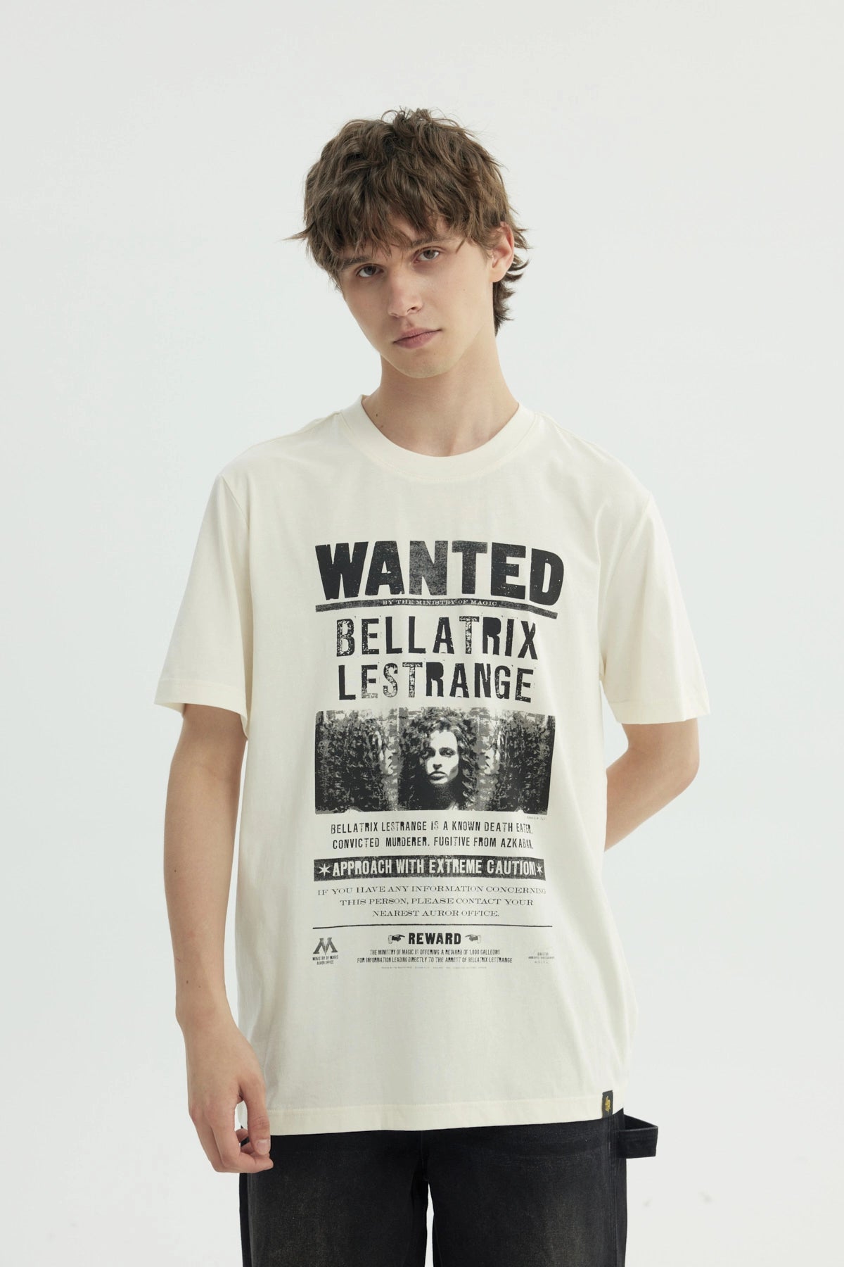 Polera Hombre Harry Potter Beige