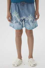 Short de Baño Niño Básico Gris