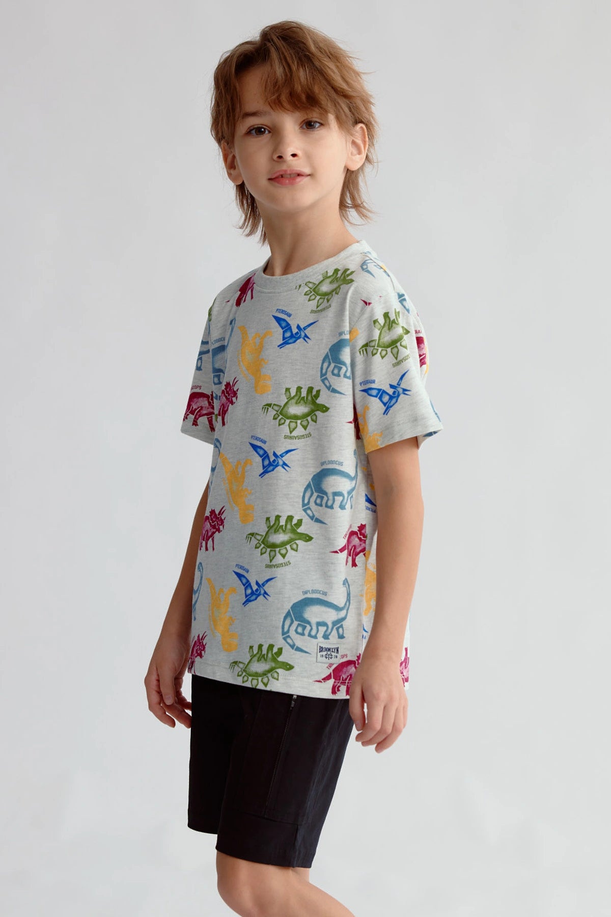 Polera gris claro con estampado de dinosaurios en varios colores visibles sobre fondo blanco