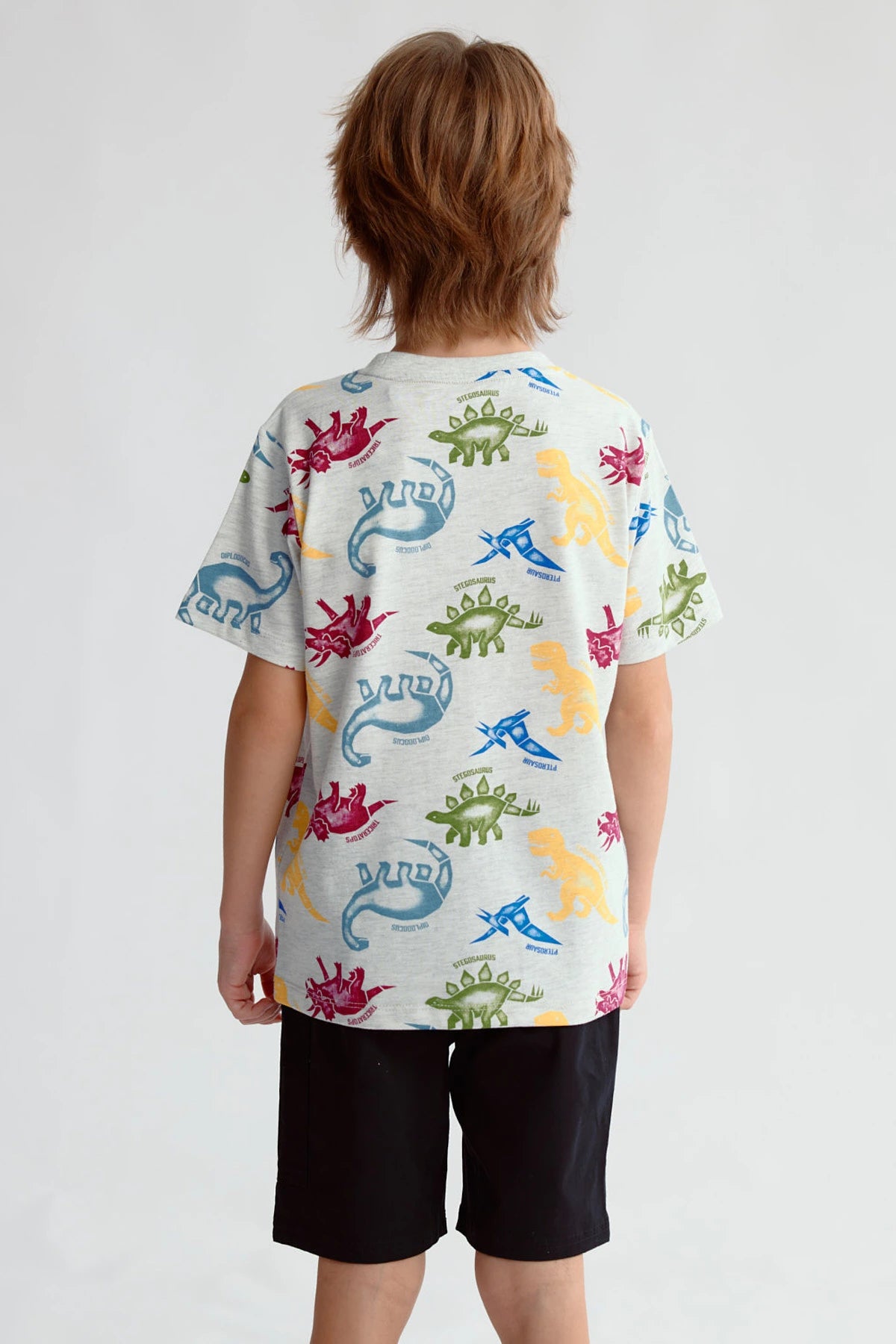 Polera gris claro con estampado de dinosaurios en varios colores visibles sobre fondo blanco