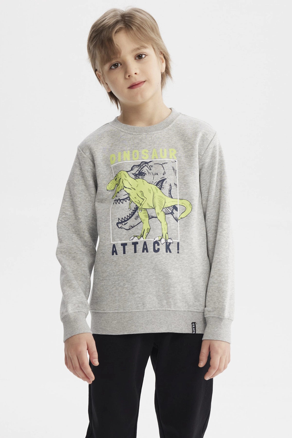 Polerón gris melange para niño con estampa de dinosaurio verde en acción y texto Dinosaur Attack en el frente estilo gráfico
