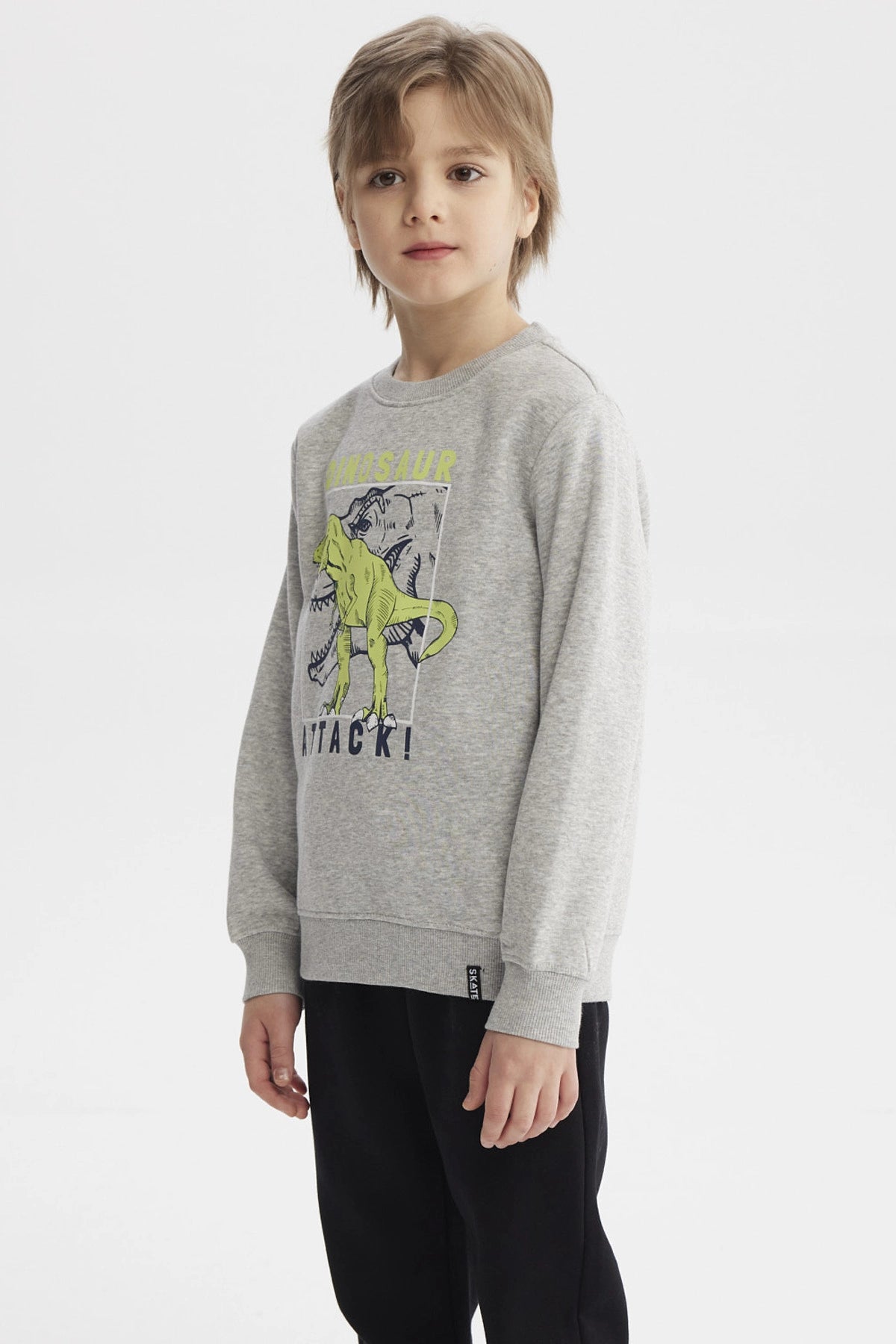 Polerón gris melange para niño con estampa de dinosaurio verde en acción y texto Dinosaur Attack en el frente estilo gráfico