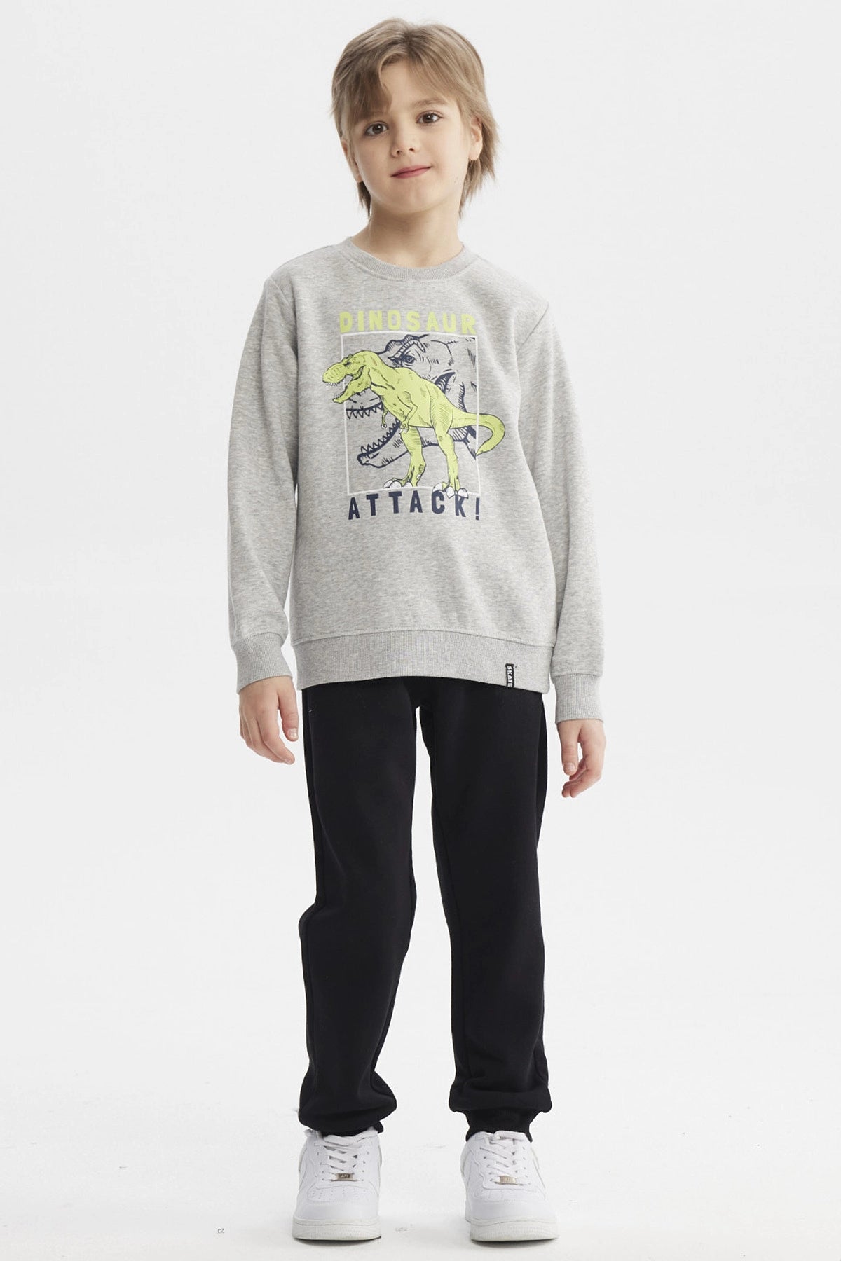 Polerón gris melange para niño con estampa de dinosaurio verde en acción y texto Dinosaur Attack en el frente estilo gráfico