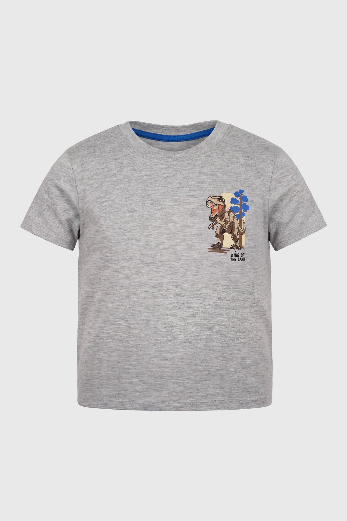 Polera Niño Regular Gris Melange Claro