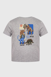 Polera Niño Regular Gris Melange Claro