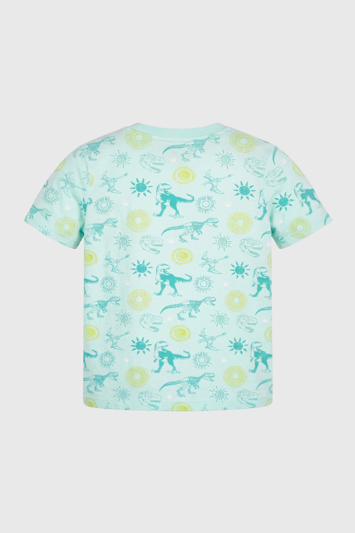 Polera Regular Niño Aqua