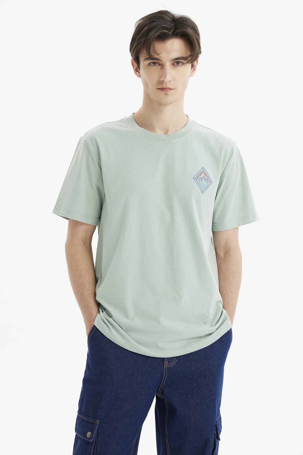 Polera hombre verde claro con diseño de montañas en el pecho estilo minimalista y gráfico pequeño a la izquierda