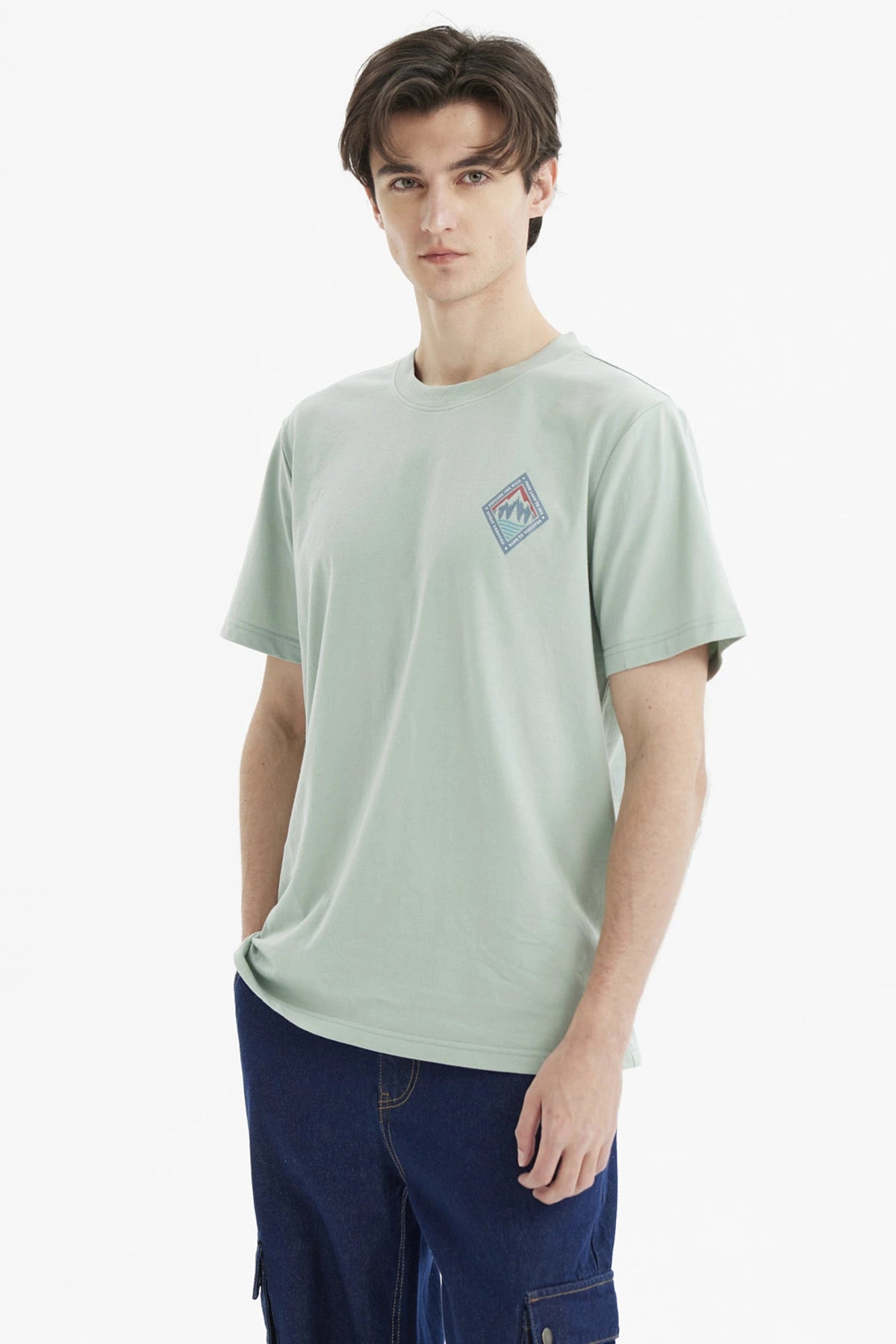 Polera hombre verde claro con diseño de montañas en el pecho estilo minimalista y gráfico pequeño a la izquierda