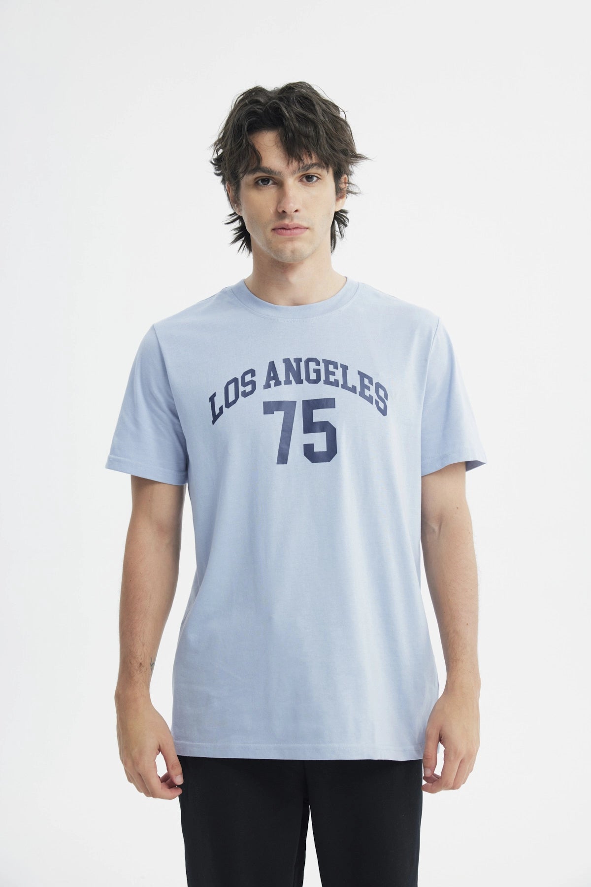 Polera Hombre Regular Celeste