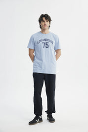 Polera Hombre Regular Celeste