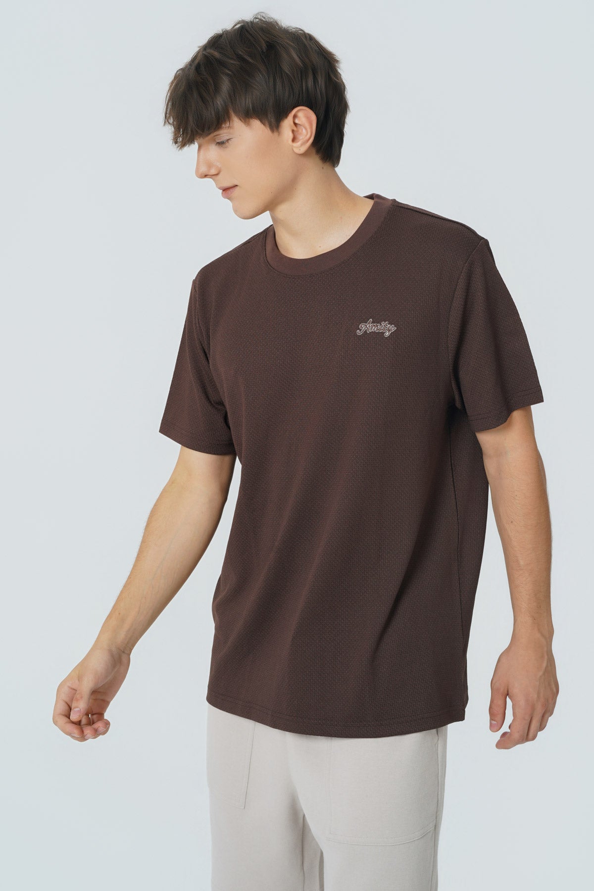 Polera Regular Hombre Café